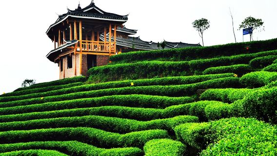 2人起私家團丹洲景區仙人山三江鼓樓一日遊柳州桂林上門接送
