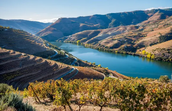 杜羅河谷：獨立包團連午餐及葡萄酒莊園全包