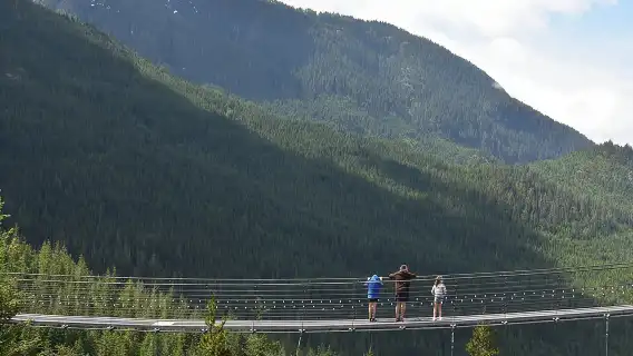 From Vancouver: Whistler & Sea to Sky Gondola with Shannon Falls