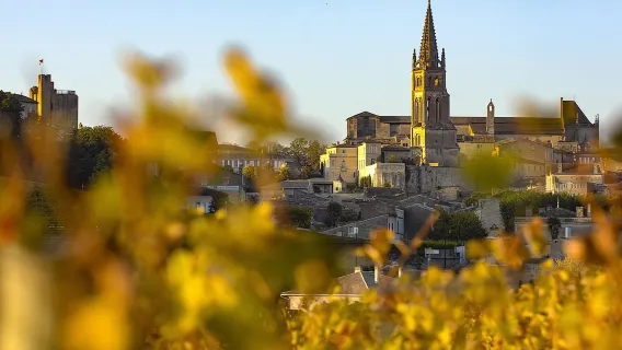 Excursión de medio día a Saint Emilion con cata de vinos y visita a bodega desde Burdeos