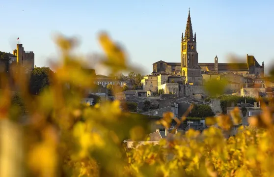 波爾多出發聖埃美隆半日遊連品酒及酒莊參觀