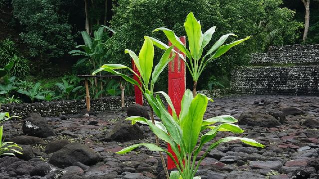 Tahití privado de día completo — Grutas, Jardines y Panoramas