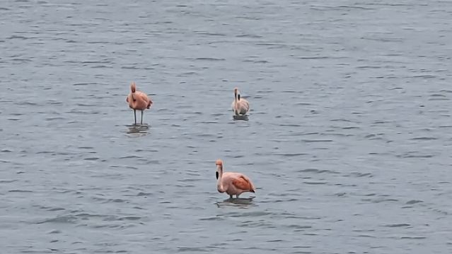 Curaçao West Coast Tour: Hato Caves, Grote Knip & Daaibooi Beach