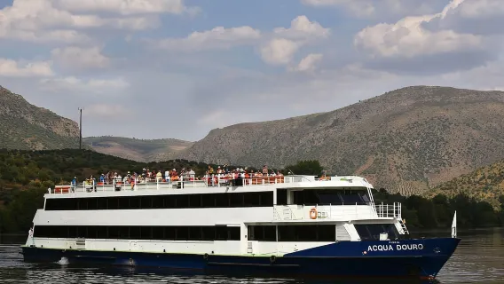 Porto: crociera a Régua con giro in treno e degustazione di vini