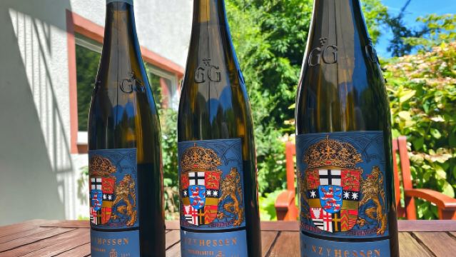 라인 강을 따라 와인을 즐기며 - 프랑크푸르트에서 출발하는 포도농장 투어