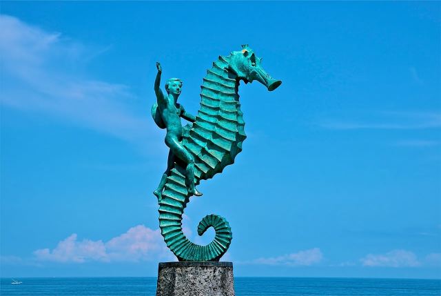 Tour della città di Puerto Vallarta a 360° con pranzo