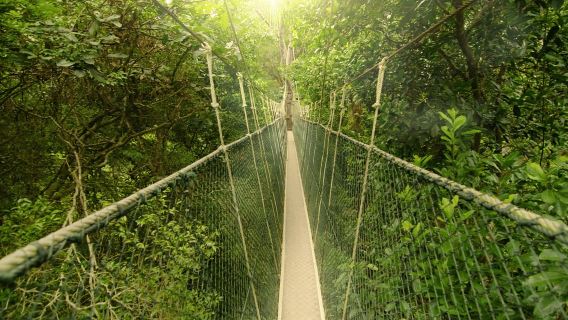 Kuala Lumpur: trekking nel Parco Nazionale Taman Negara e giro in barca