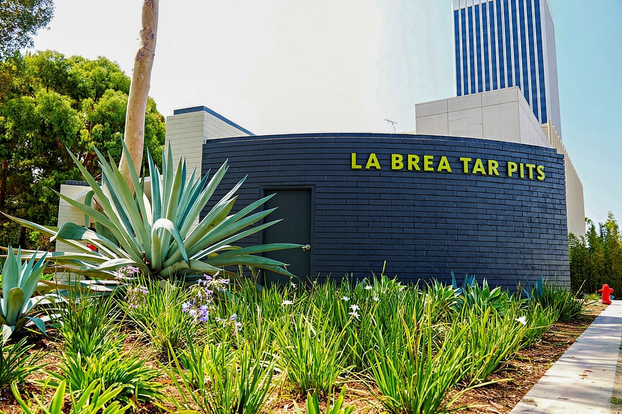 ลอสแอนเจลิส: ตั๋วพิพิธภัณฑ์ La Brea Tar Pits