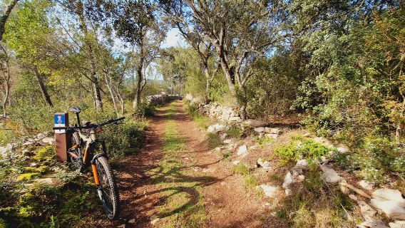 ファティマ:洞窟と伝統を巡る電動自転車ツアー