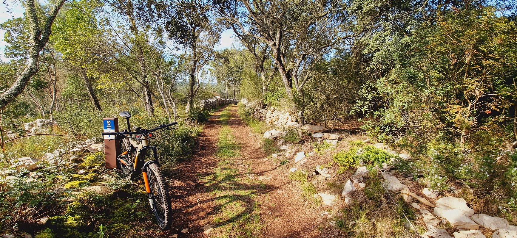 Fátima: Tur E-bike Gua & Tradisi