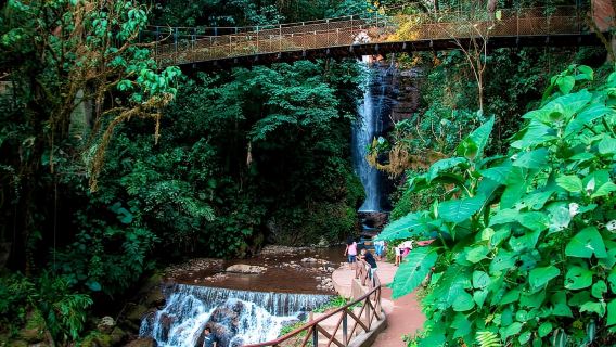 Oxapampa: Cascada del río Tigre y secreto de la selva
