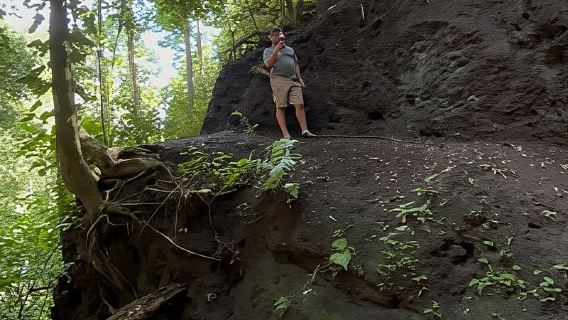 Puerto Jiménez: Corcovado, La Leona, and Mata Palo Waterfall with a typical lunch