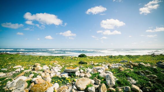 南非|開普敦一日遊【包車10小時】