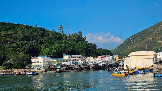 Crociera panoramica in barca a Tai O - Tour di 20 minuti per ammirare il panorama completo di Tai O