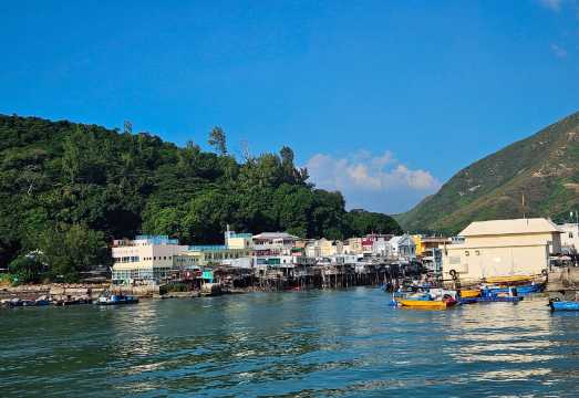 Tai O Sightseeing Cruise - 20 min Panoramic Tour of Tai O