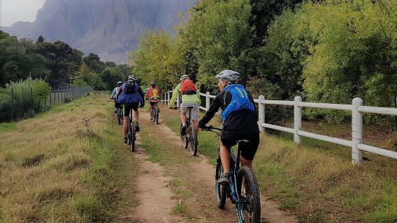 フランシュフック：ワインテイスティングとランチ付き電動自転車ツアー