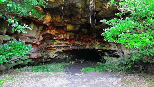 Jeju: Tur Harian ke Situs UNESCO di Jeju Timur