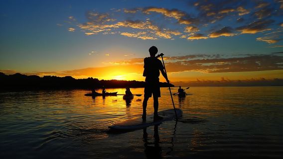 Okinawa Ishigaki Sunrise SUP or Canoe Tour