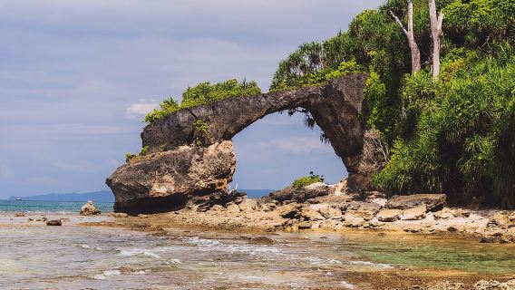 Neil Island Exclusive Cab Package