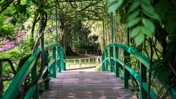 Giverny Small-Group Half Day Trip with Monet’s Gardens from Paris