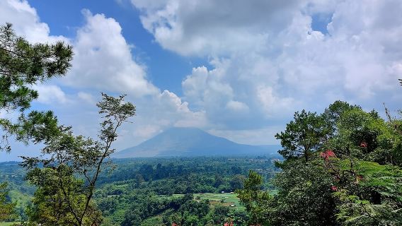 Private Tour: Karo Highlands and Lake Toba from Medan