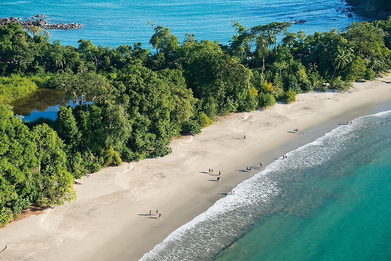 Manuel Antonio Nationalpark – die gesamte Tierwelt