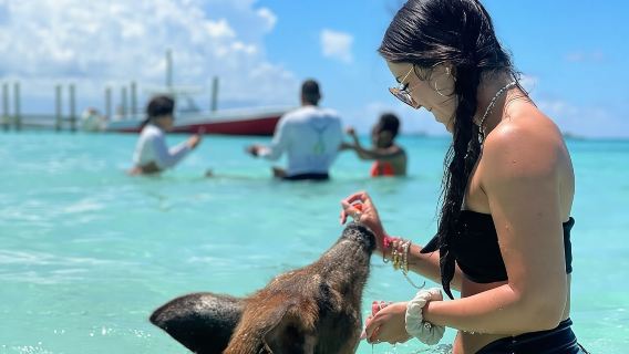 Bahamas: Swimming Pigs, Snorkeling, Beach Break Package