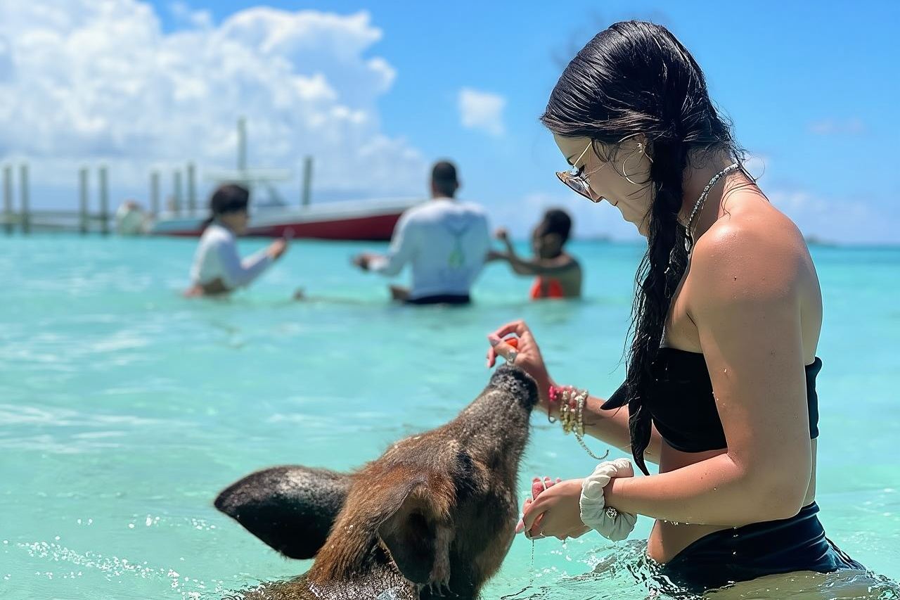 Nassau Swimming Pigs: Snorkeling, Lunch & Private Beach Club