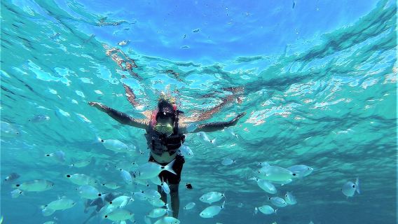 Lawatan Gua dan Pantai Snorkeling Ibiza