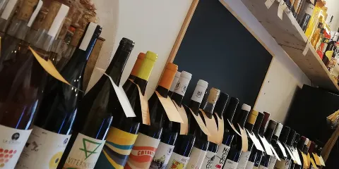 與其他旅客一起參加品酒團