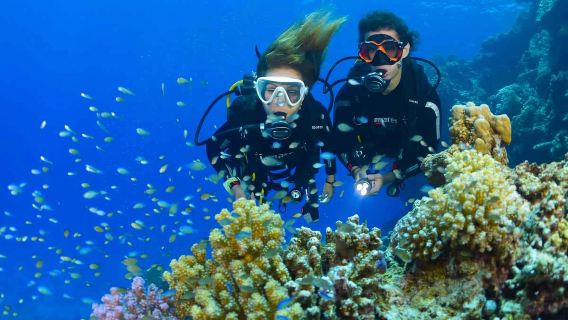 Tunku Abdul Rahman Island Discover Scuba Diving Adventure | Kota Kinabalu, Sabah