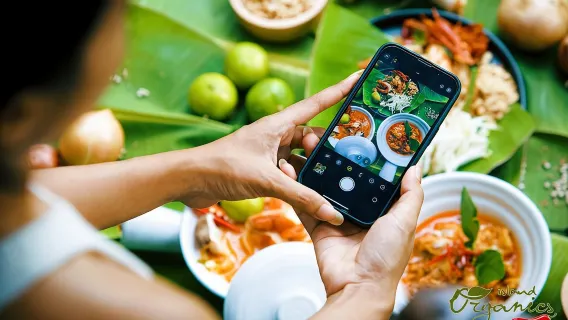 32 Surat Thani Tours analyzed