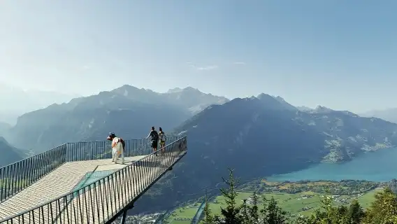 Grindelwald, Interlaken & Lauterbrunnen: Day Trip + Transport