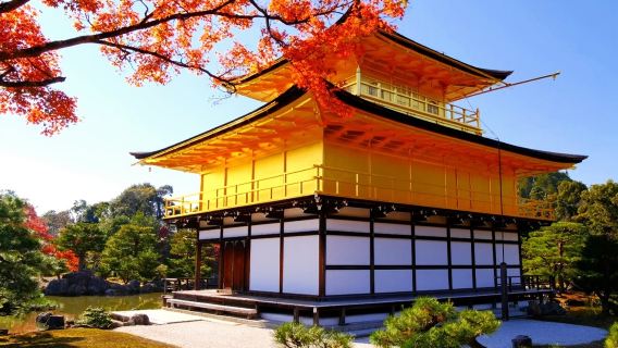 Kyoto Kiyomizu-dera Temple + Ninenzaka + Sannenzaka + Kinkaku-ji + Fushimi Inari Taisha one-day pilgrimage to explore Kyoto's millennium-old heritage and enjoy autumn foliage