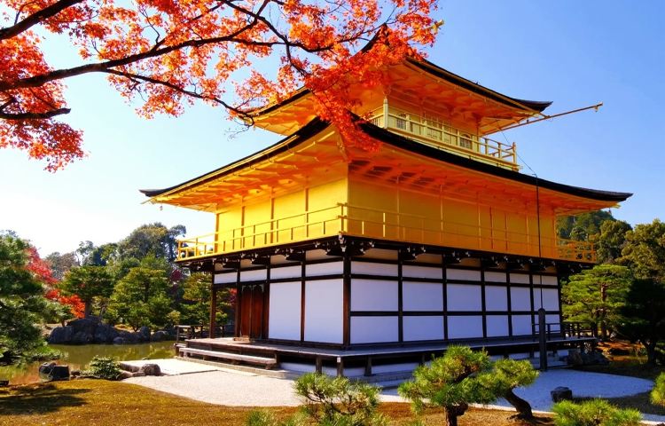 京都清水寺+二三年坂+金閣寺+千本鳥居一日巡禮千年京都