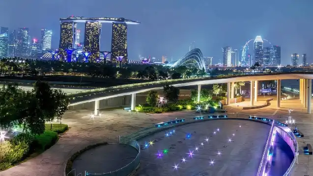 新加坡私人夜遊，包含濱海灣花園和泰晤士河遊船。