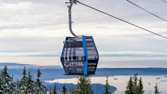 Grouse Mountain & Capilano Bridge Tour with Fish Hatchery