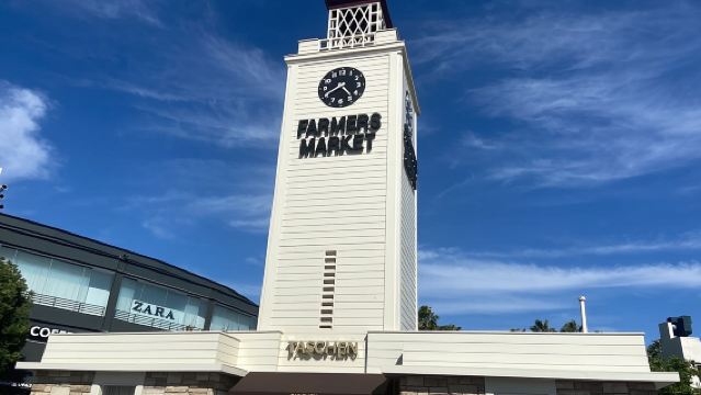 Tur Kota Pribadi LA dengan Pantai dari Anaheim untuk 10 Penumpang