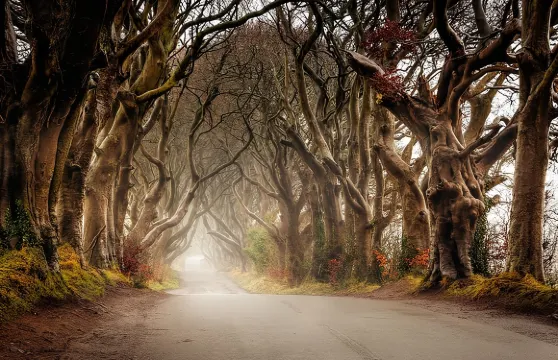 貝爾法斯特出發：巨人之路及城堡導賞團