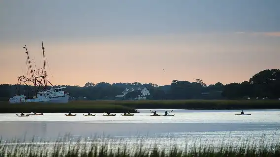 2-Hour Guided Kayak Eco Tour in Charleston