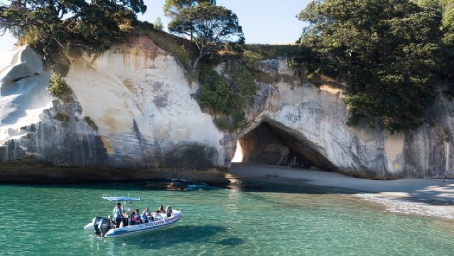 Sea Cave Adventures in Whitianga