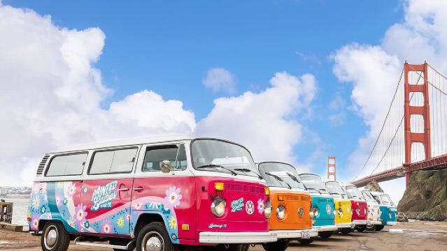 Painted Ladies San Francisco City Tour