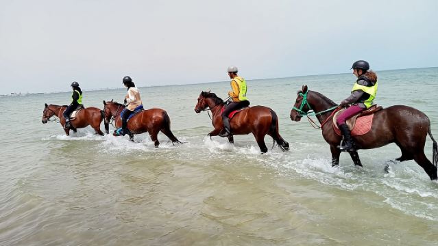 Верховая езда с индивидуальным трансфером