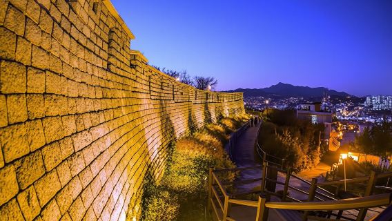 Recorrido nocturno por Seúl: Mercado de Gwangjang, Parque Naksan y Eungbongsan