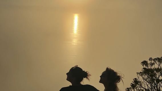 Cape Town: Đi bộ đường dài lên Núi Bàn cùng Hướng dẫn viên giàu kinh nghiệm