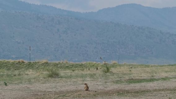 Red Rocks and Dinosaur Ridge on E-Bike Tour