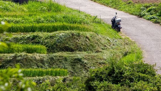 京都レンタルバイクツアー：嵐山と西寺