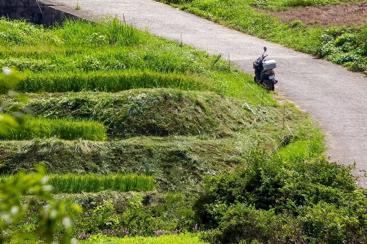 Rental Motorcycle Tour in Kyoto: Arashiyama & West Temple