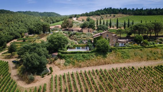 Total Immersion Wine Tour in Chianti