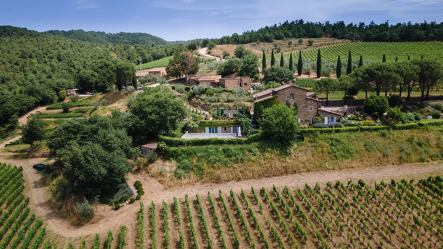 Total Immersion Wine Tour in Chianti